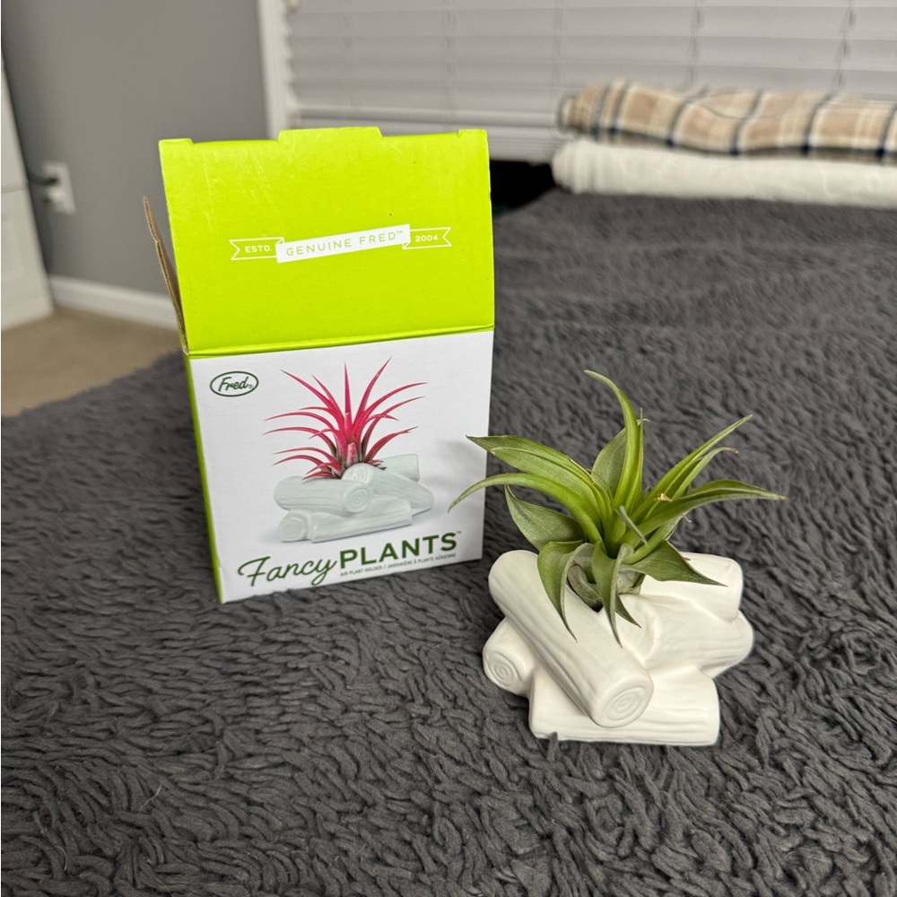 NEW Fred’s Fancy Plants White Ceramic Campfire Shaped Air Plant Holder